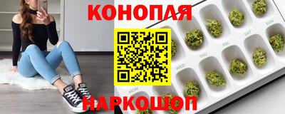 стафф Аргун