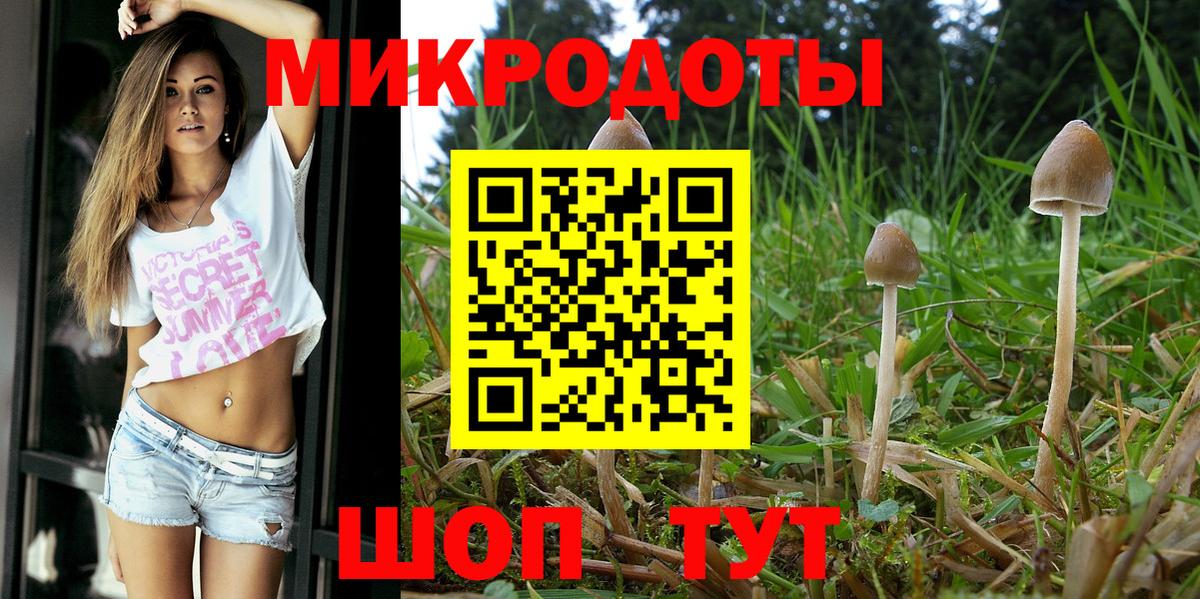 Воронеж  Галлюциногенные грибы мухоморы  Вход с VPN 